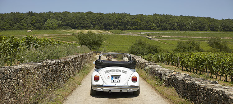 Route des Grands Crus en Bourgogne